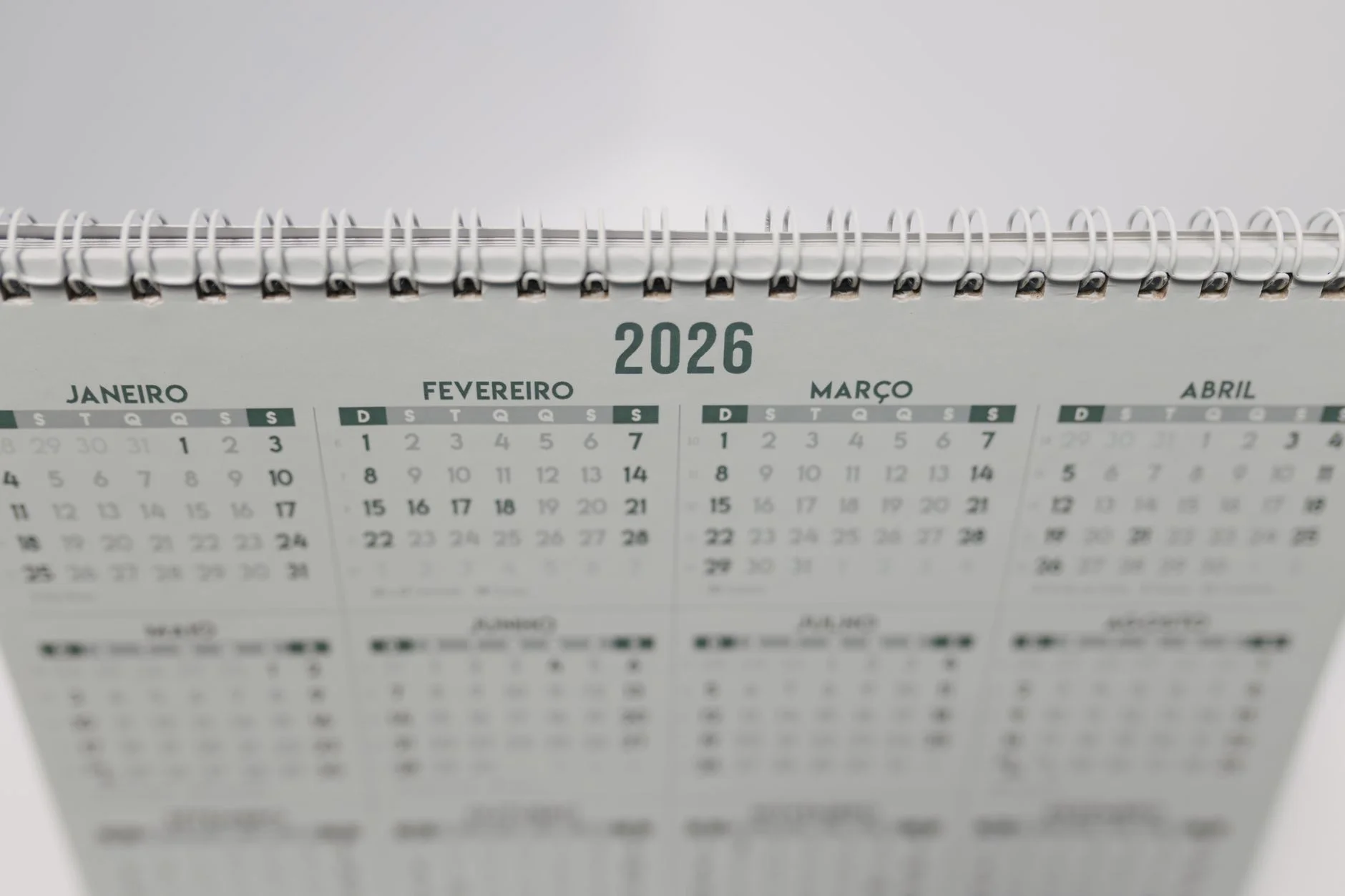 Google algoritma güncellemeleri 2026