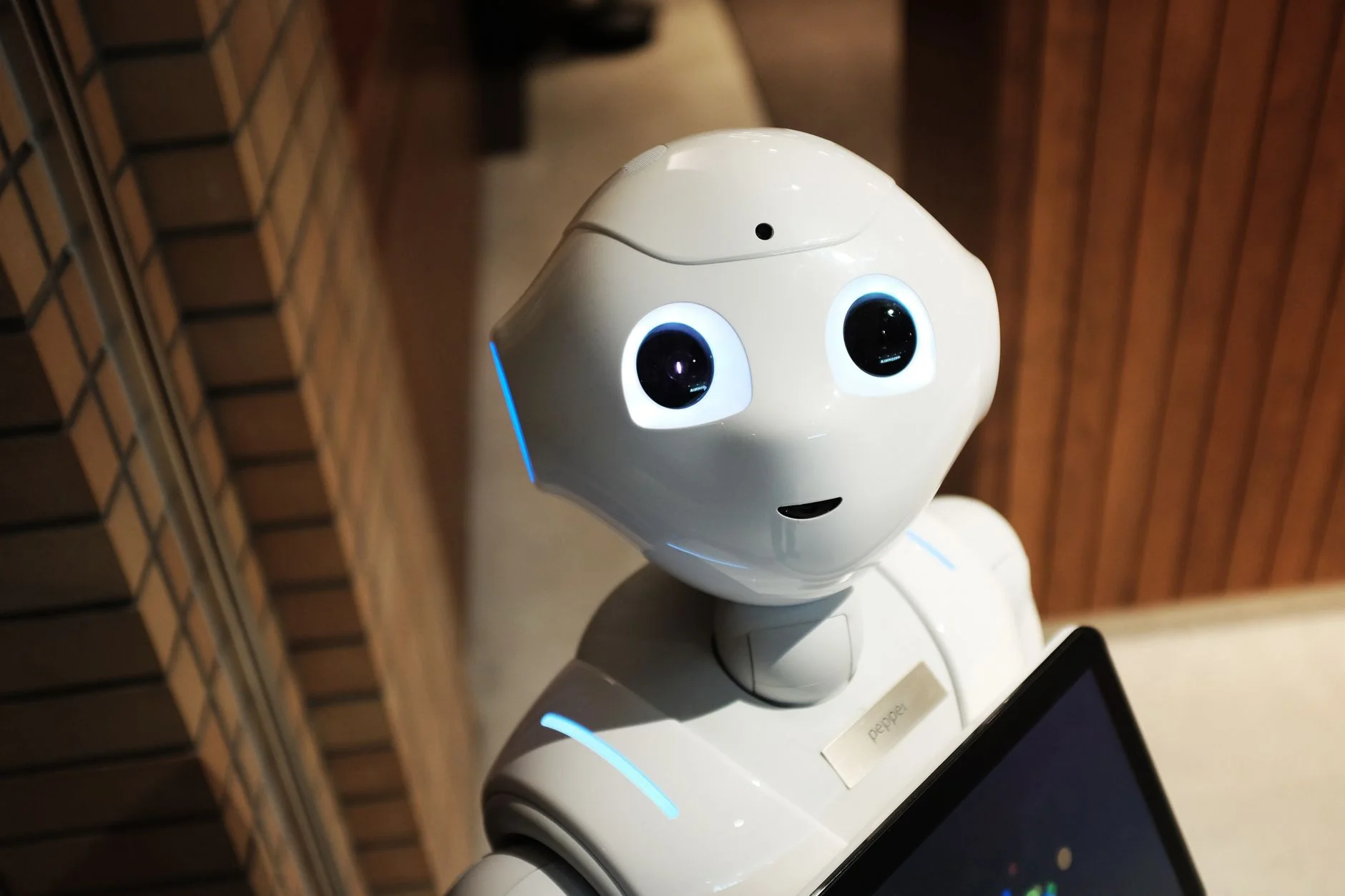 robots.txt nedir